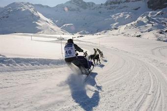 Ski Pallars